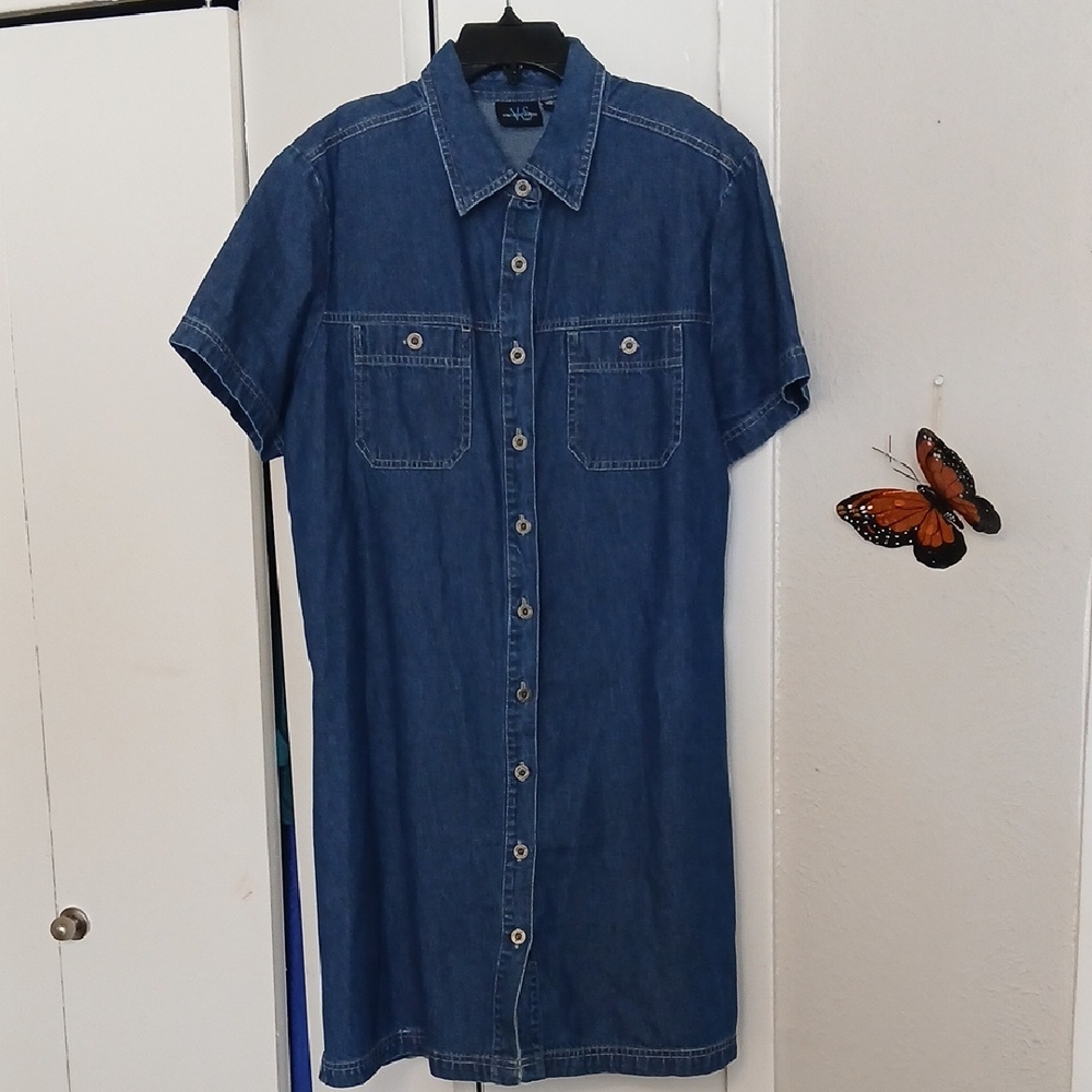 Casual Blue Button-Down Denim Dress